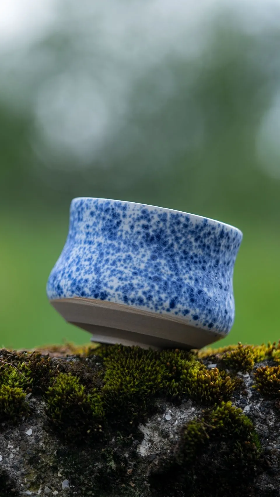 A blue speckled cup resting on Icelandic moss